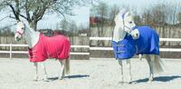Попона флис Kids&Ponies